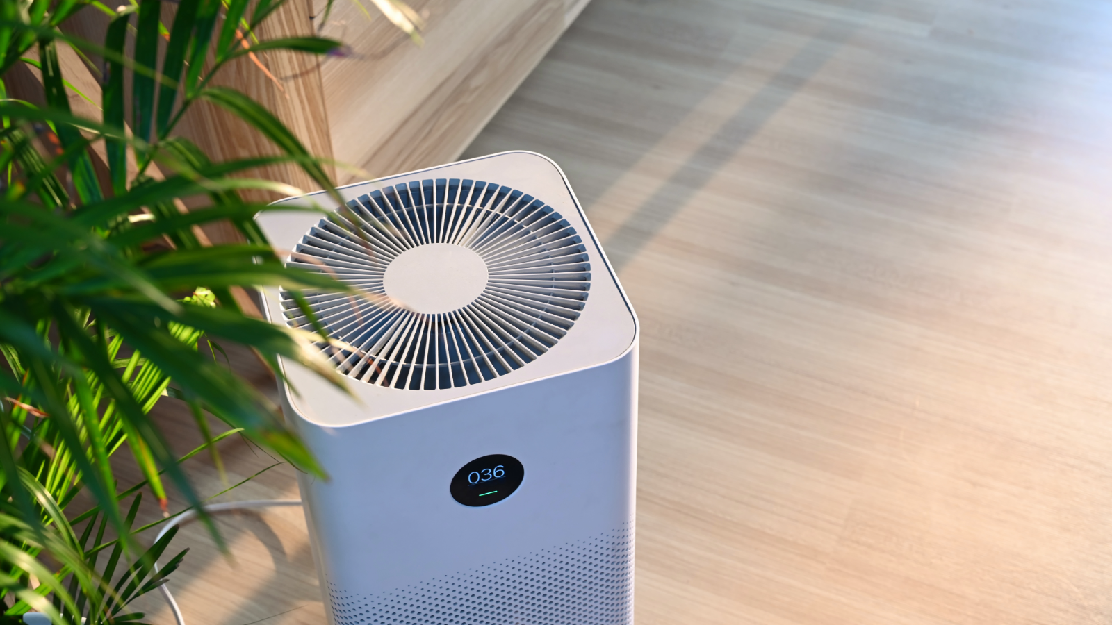 Air purifier on a wooden floor next to a plant