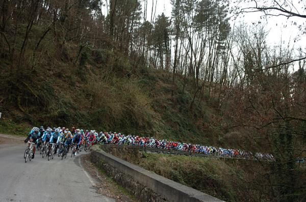 The peloton