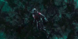 Ant-Man Quantum Realm