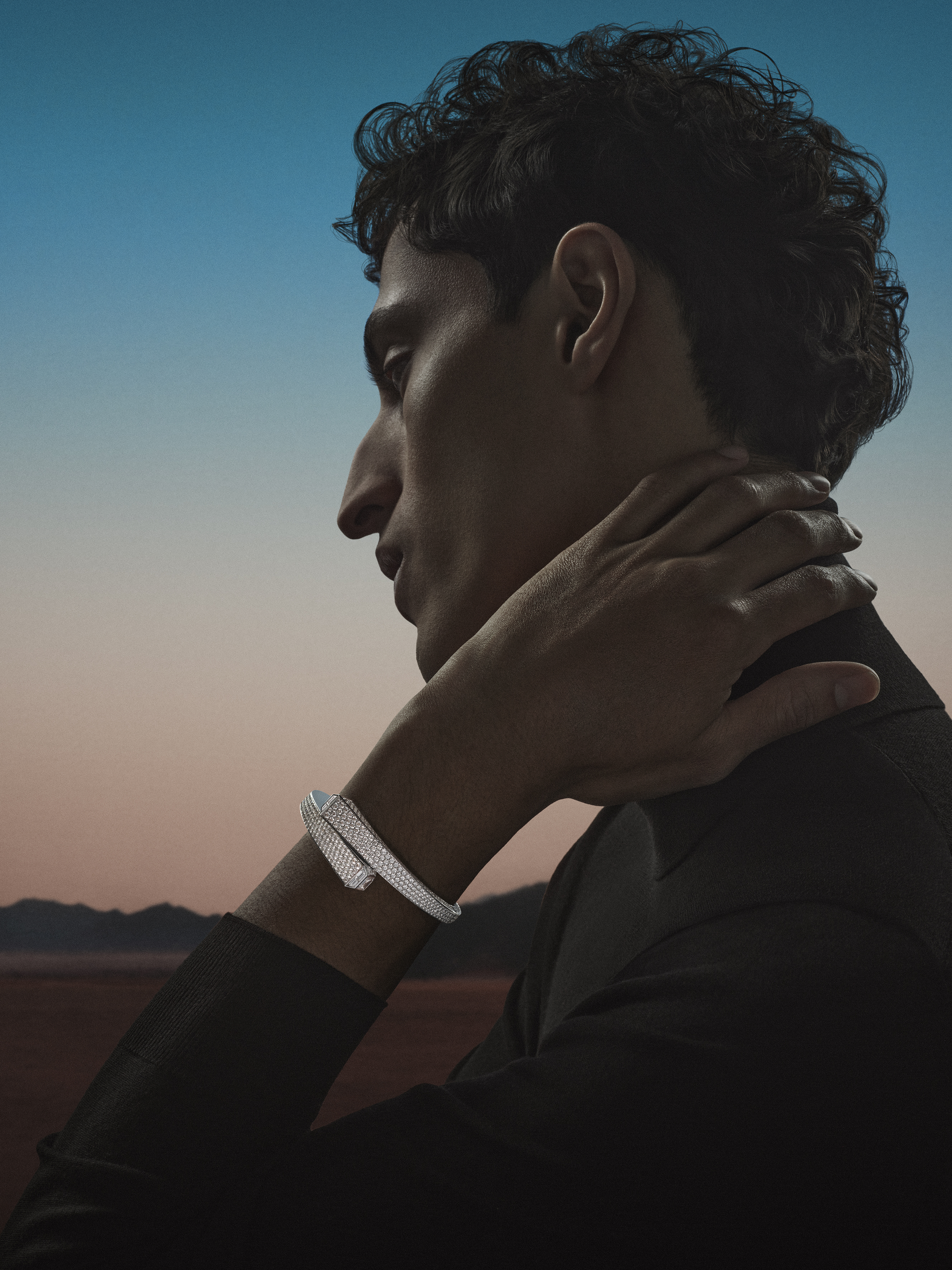 hermes high jewellery worn on a model
