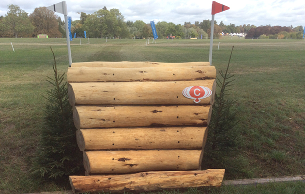 Blenheim Fences 2018