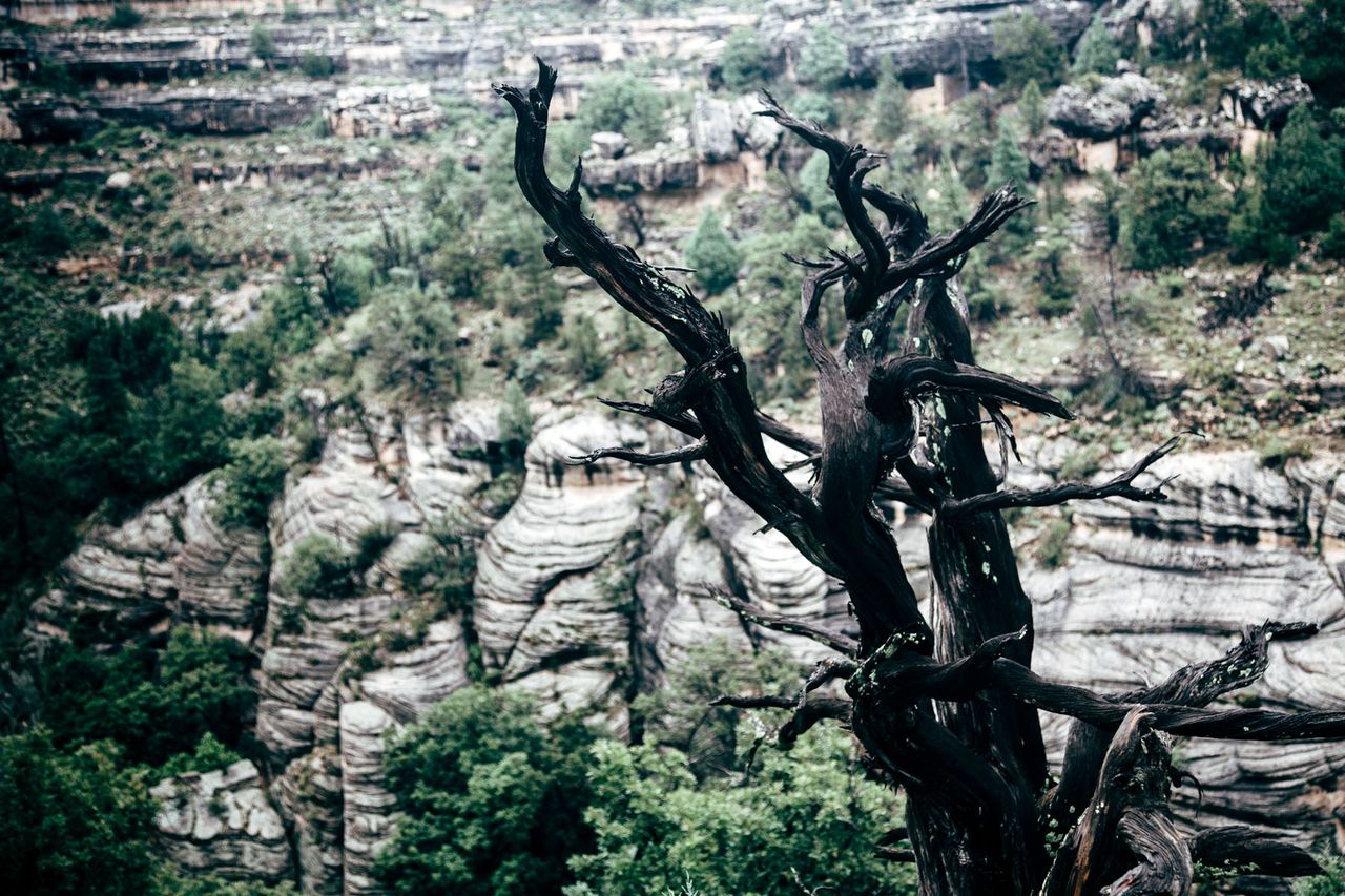 Walnut Canyon, near Flagstaff
