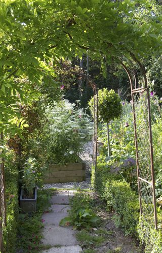 garden arch leading through to the raised beds in a summer garden