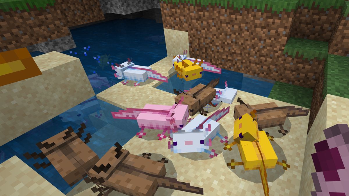 How to find, tame and breed Minecraft axolotls GamesRadar+