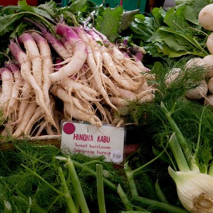 Hinona Kabu turnip