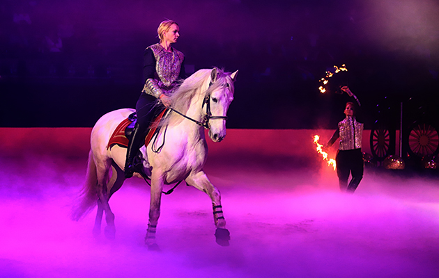 The spell binding Luminoso display transports spectators to another world