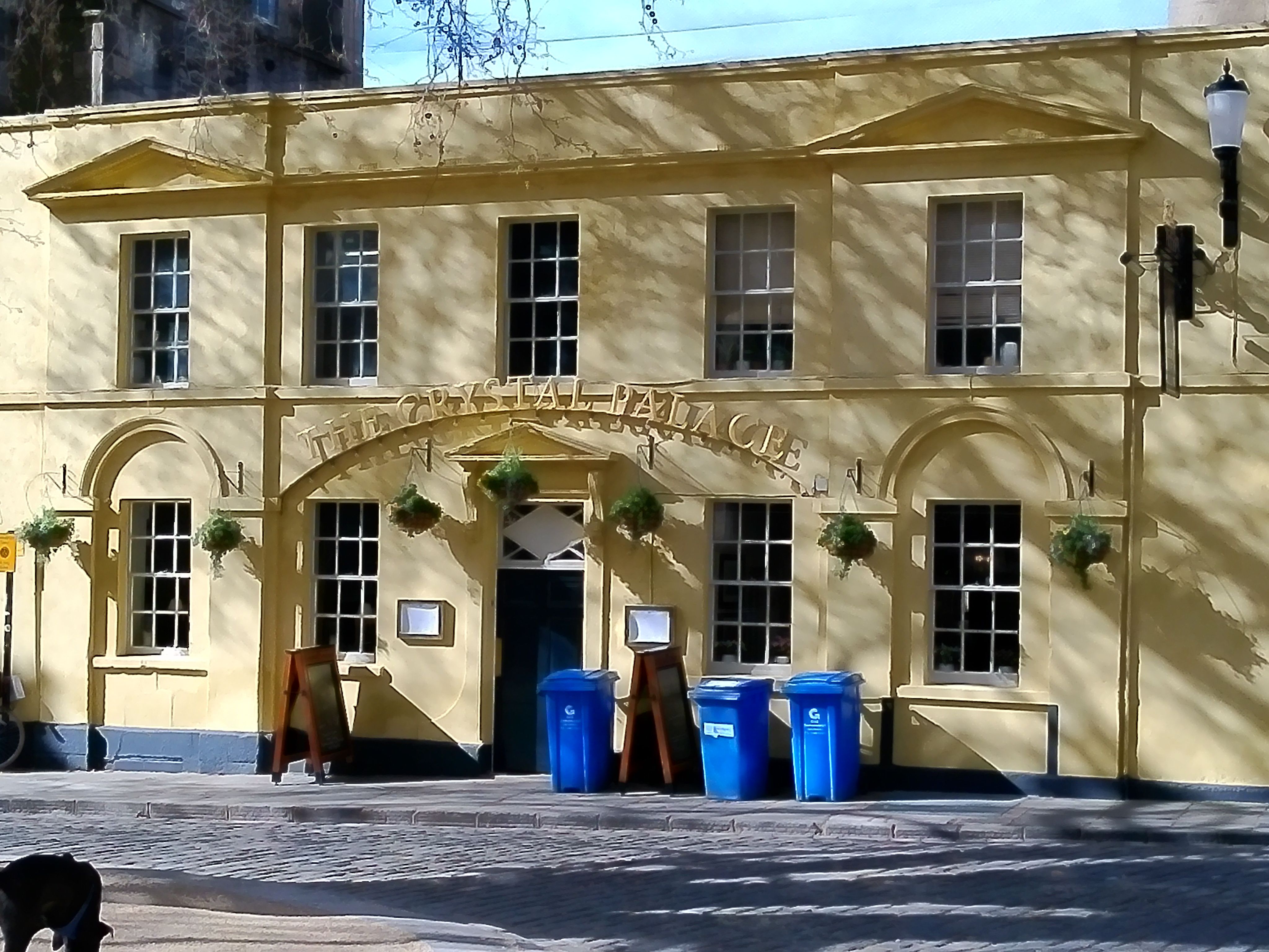 Yashica FX-D 300 example shot