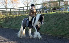 redwings-jacob-ridden.jpg