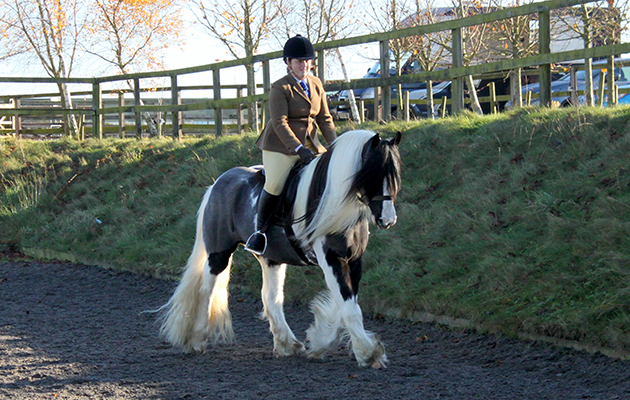 redwings-jacob-ridden.jpg