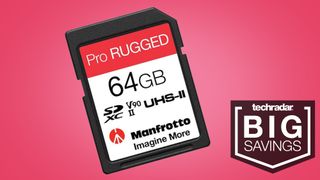 Manfrotto Pro Rugged SD card