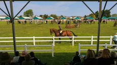 A showing class at Royal Cornwall.