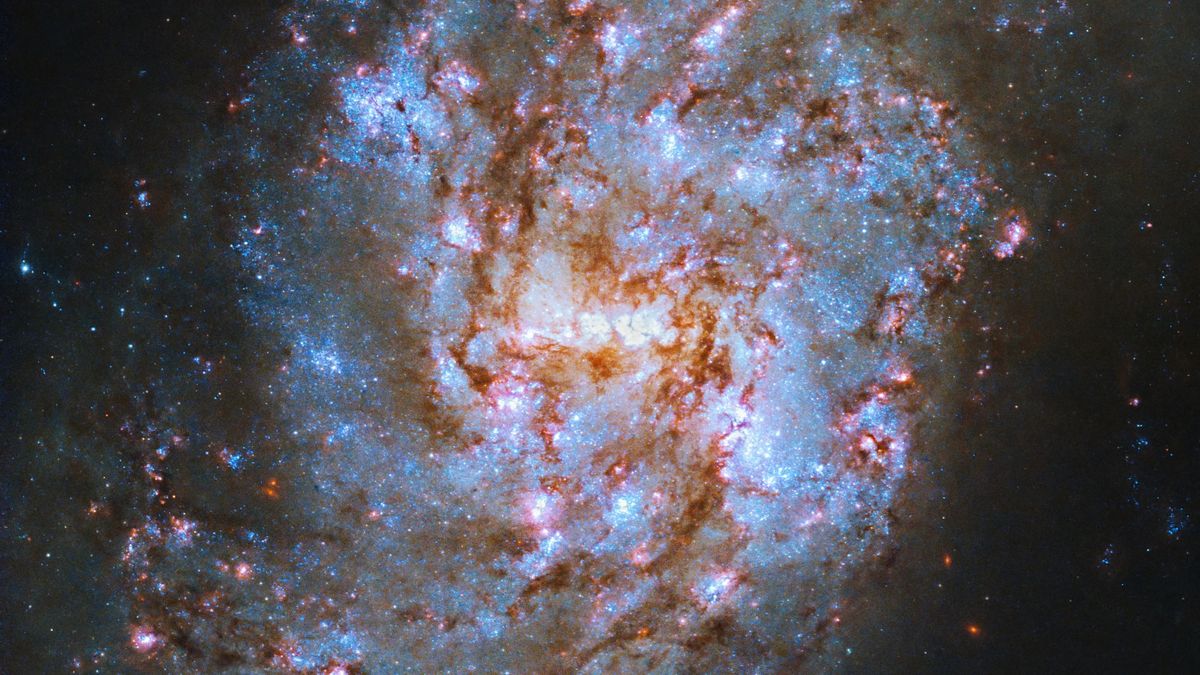 Na tym oszałamiającym zdjęciu wykonanym przez Teleskop Hubble’a błyszczy gwiaździsta, wężowa galaktyka
