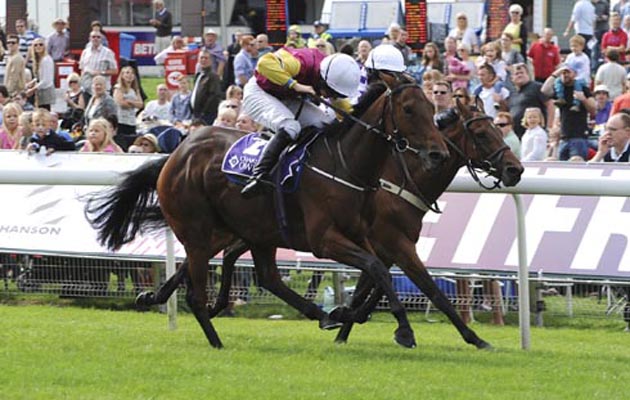 sean-bowen-finish.jpg