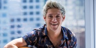 Niall Horan One Direction Perfect music video