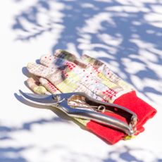 Japanese hand pruners on garden gloves on table in a sunny garden