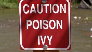 A sign reading Caution Poison Ivy