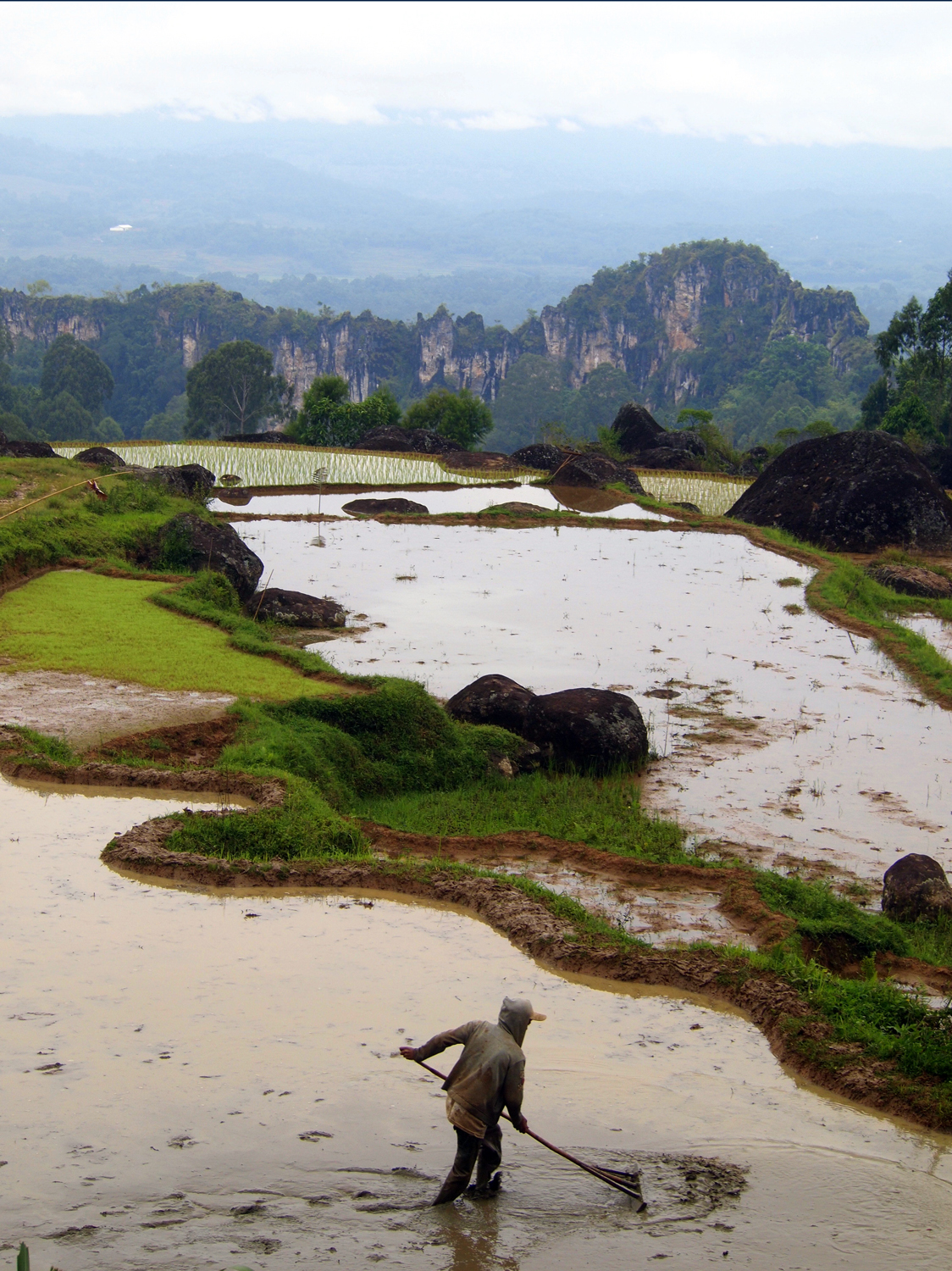 cultures, destinations