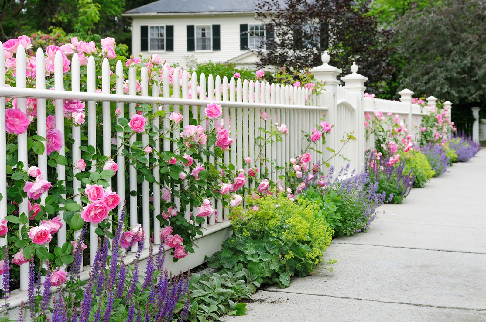 Creating A Garden Of Envy – How To Make The Best Garden In Your ...