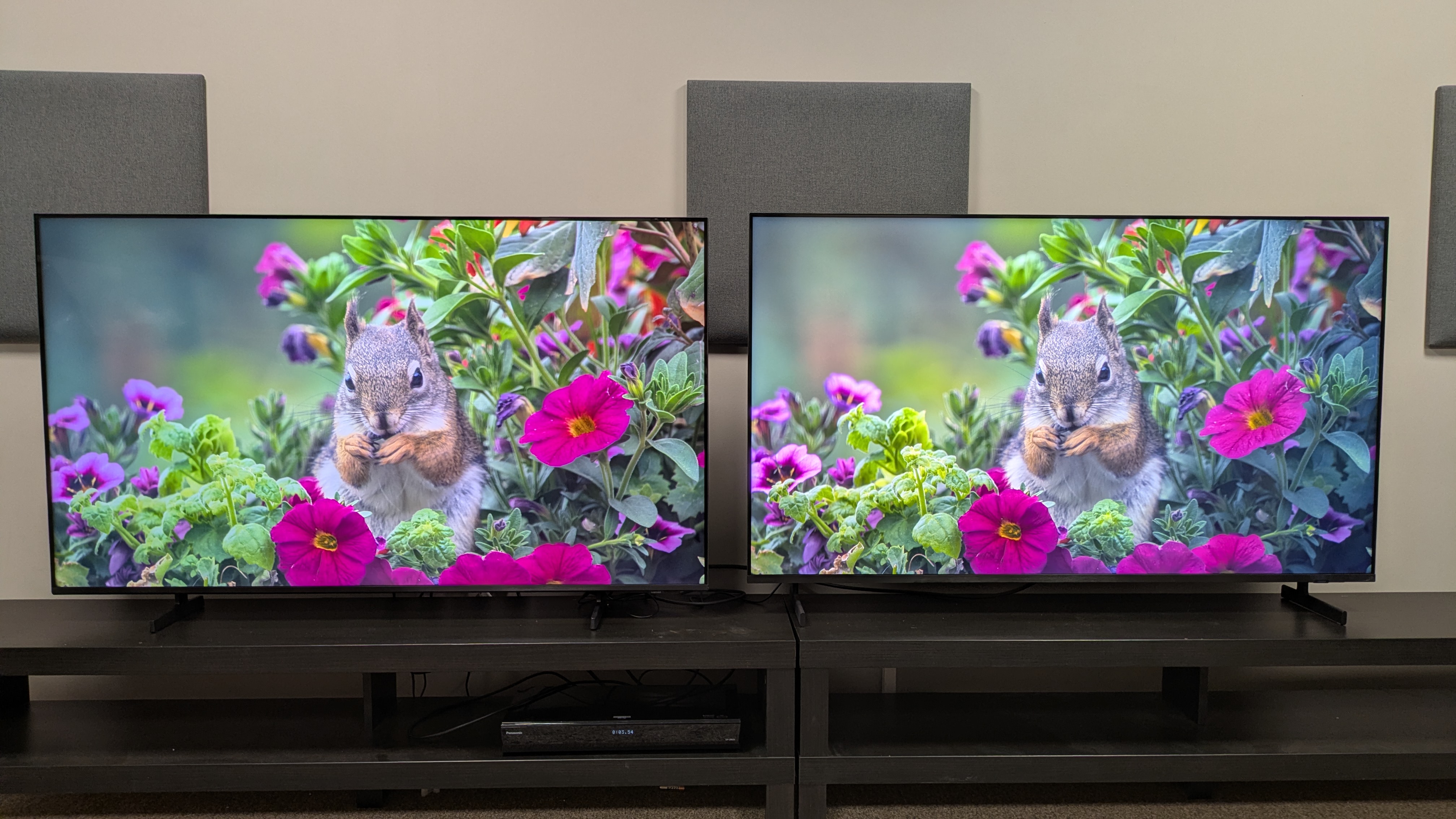 Samsung M80H (left) vs Samsung QN80H (right) showing a squirrel in a brightly colored bush. The QN80H shows higher brightness and more vibrant colors 