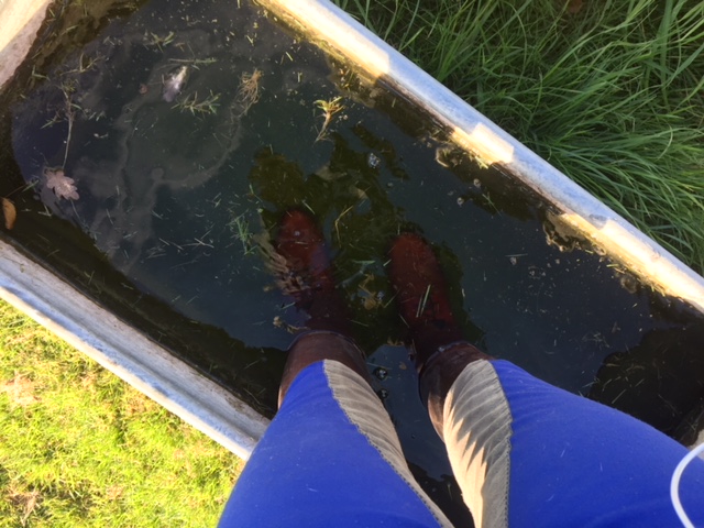 Drowning-my-boots-in-the-name-of-research-.jpeg