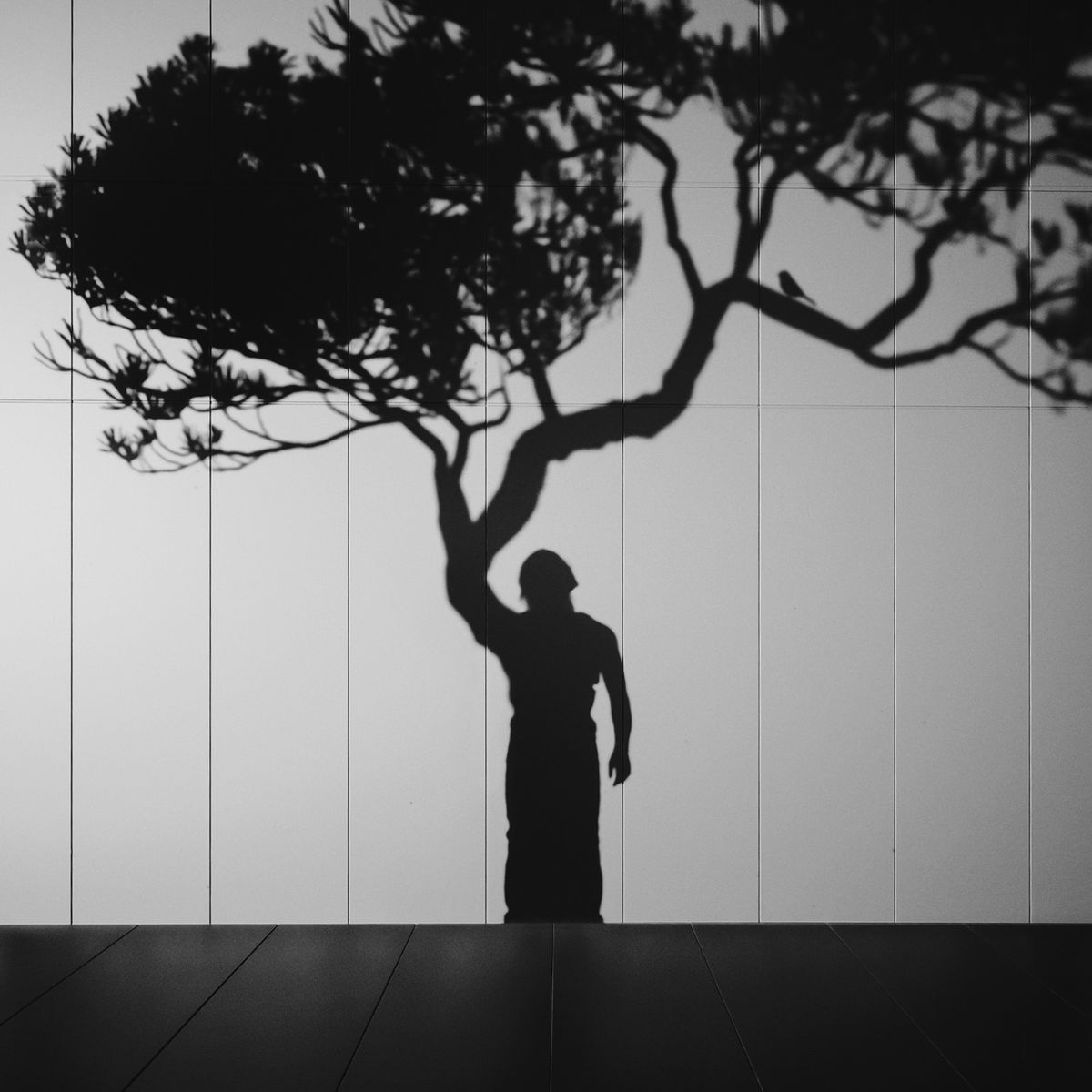 The Virtual Photography Awards for 2025