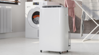 dehumidifier in front of a washing clothes horse and a washing machine