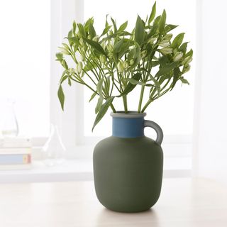 green plant in bottle green vase