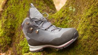 Jack Wolfskin Wilderness Lite hiking boot on a mossy tree trunk