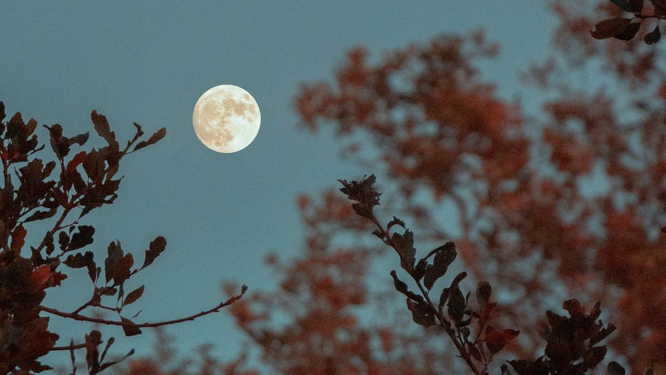 How to photograph the moon using a camera: techniques, kit, and ...