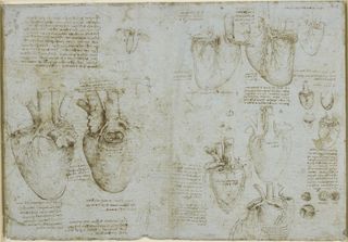 Da Vinci's sketches of the heart.