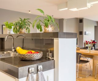 Contemporary kitchen with plants and fruit bowl