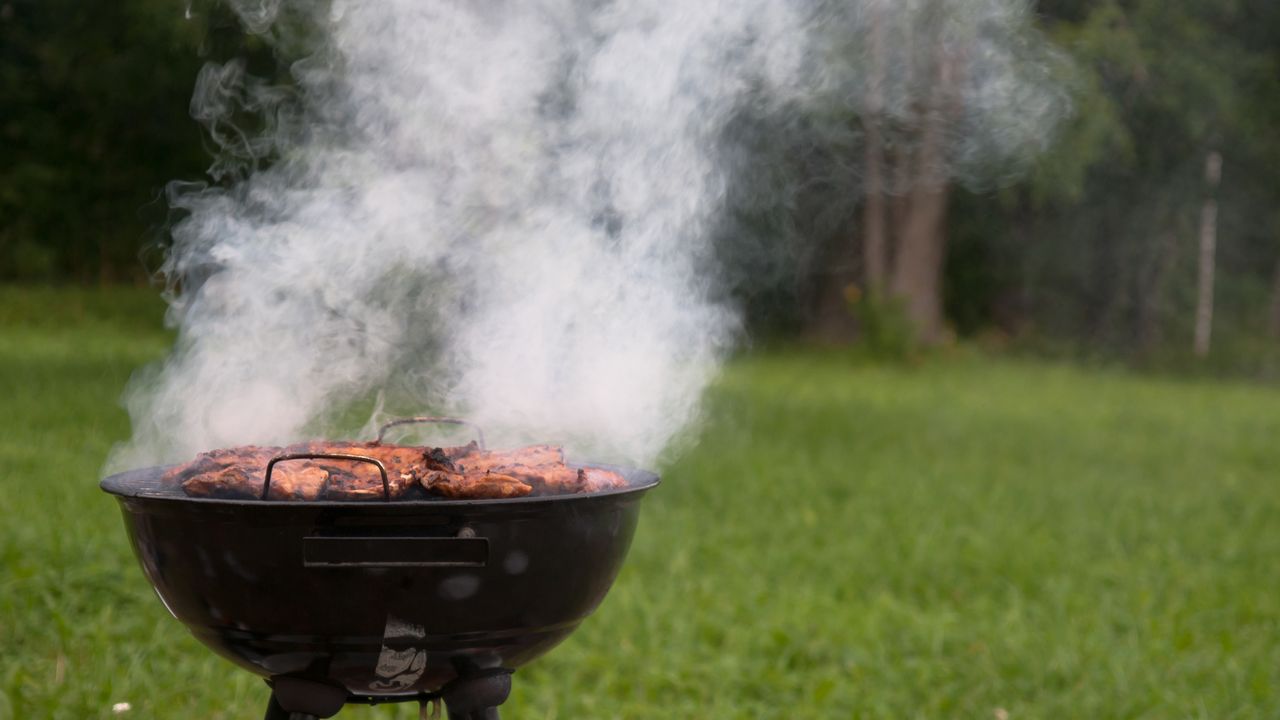 Food cooking on a charcoal bbq