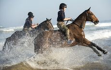 Surfs-Up-homepage.jpg