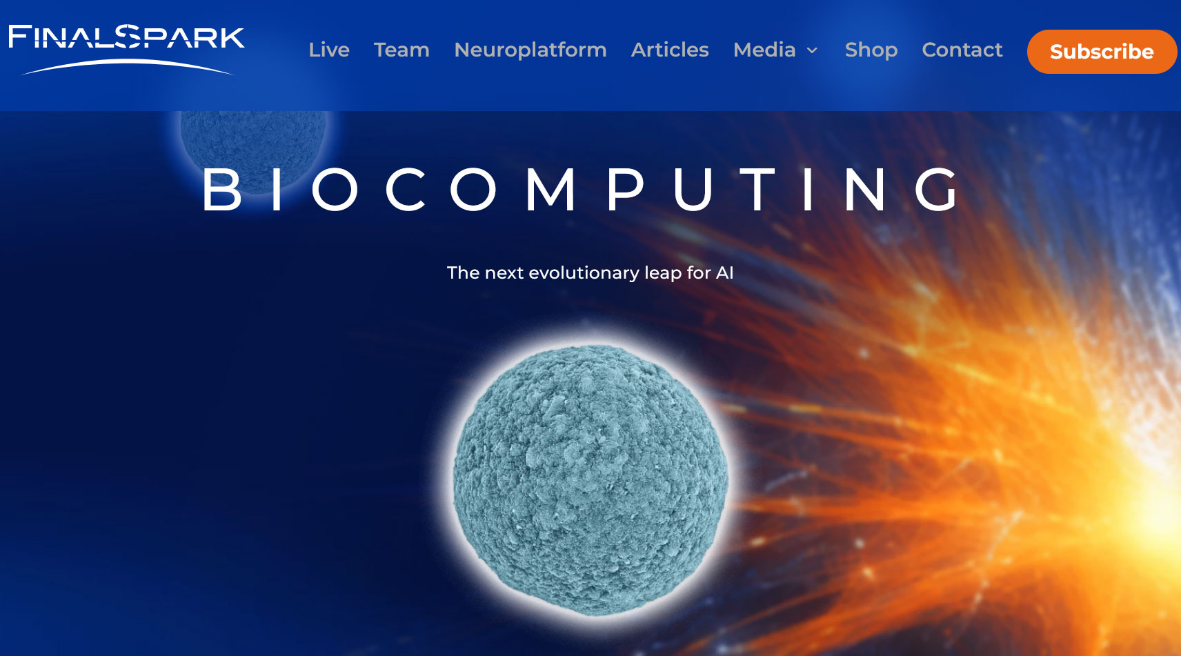 FinalSpark's wetware development