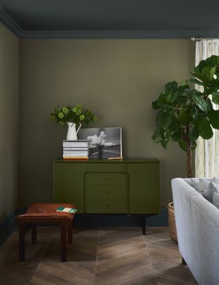 Green living room with grey ceiling