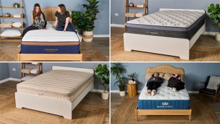 Image shows Tom's Guide mattress testers sleeping on and sitting on a range of top mattresses from Helix, Brooklyn Bedding, Birch, and Bear. Top left is the Brooklyn Bedding Copperflex Pro Hybrid, top right is the Helix Midnight Luxe mattress for side sleepers, bottom left is the Birch Luxe Natural cooling organic mattress, and bottom right is the Bear Elite Hybrid cooling mattress for hot sleepers.