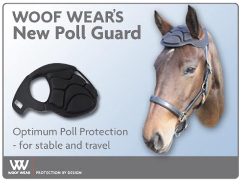 poll-guard.jpg