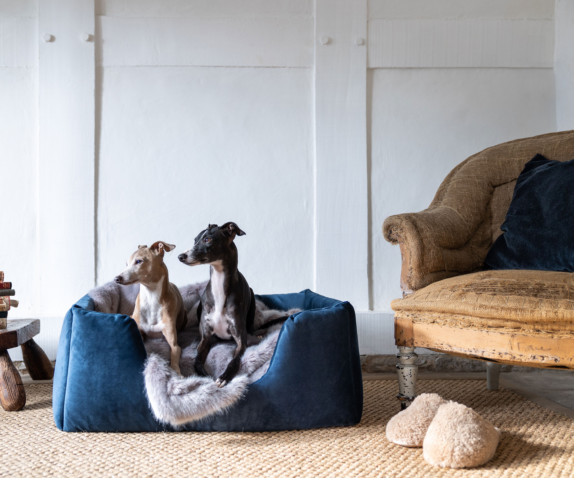 large blue dog bed on natural flooring