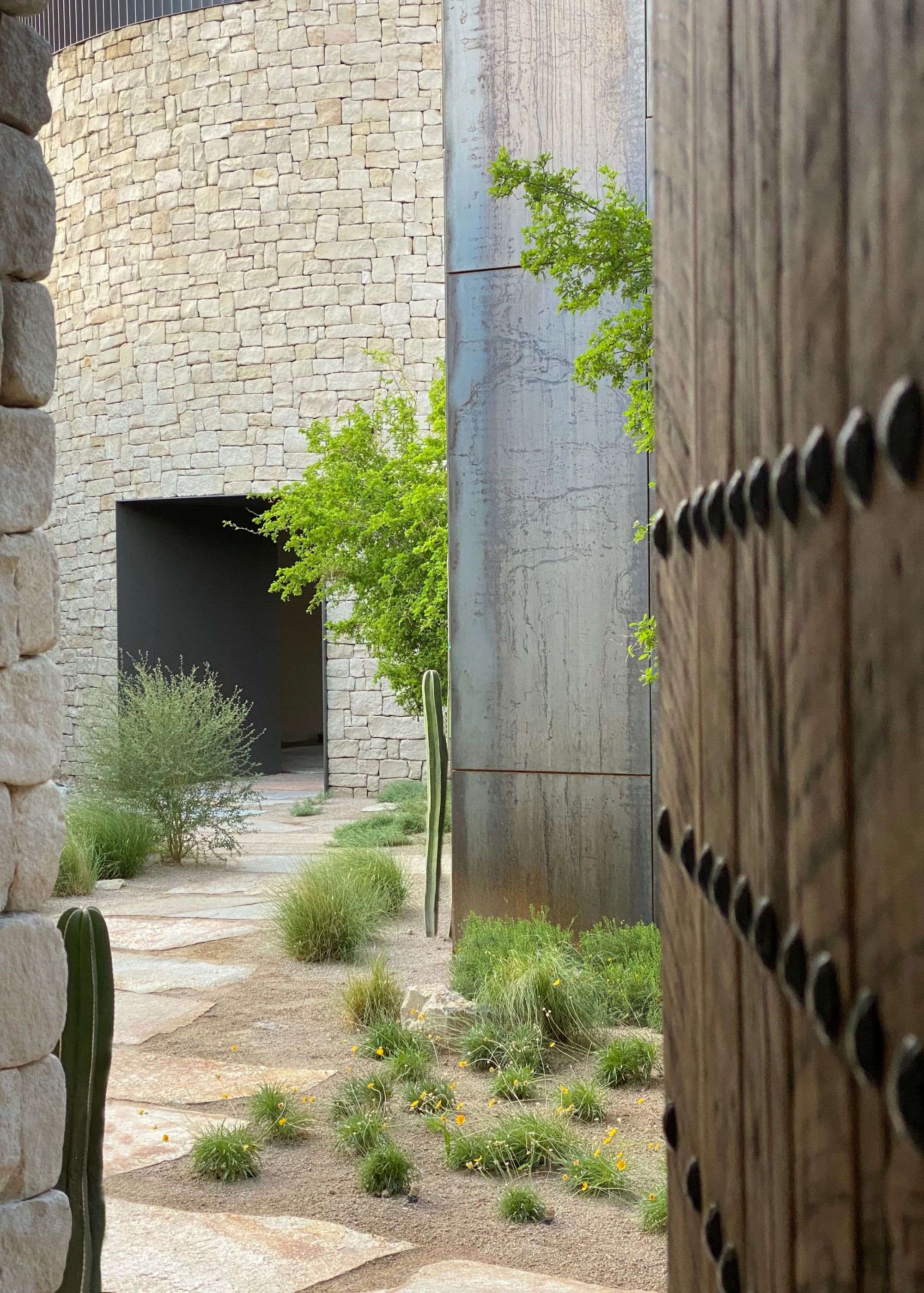 A wooden garden door leading to a stone floor, a cactus garden, and puffs of grass in a backyard
