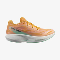 Salomon Phantasm 2: was $170 now $127 @ Salomon