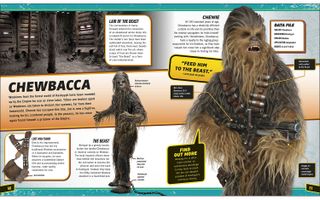All about Chewie!