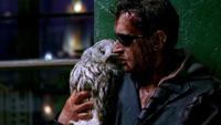 Night Watch (2006)