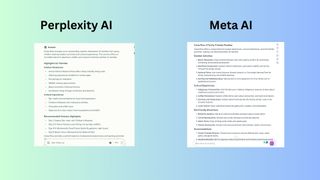 Perplexity vs Meta screenshot