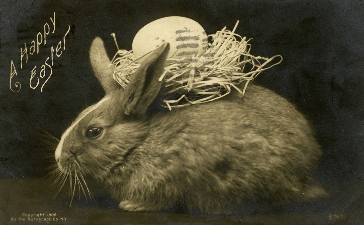 Where Did the Easter Bunny Come From? Ask This Dead German Scientist