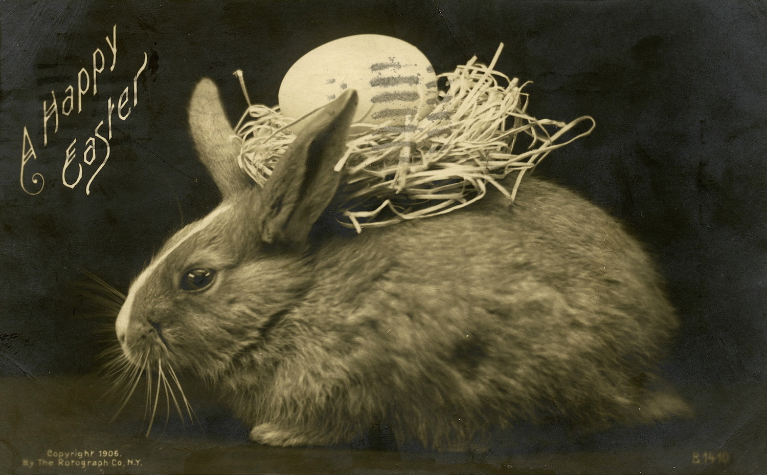 Where Did the Easter Bunny Come From? Ask This Dead German Scientist | Live  Science