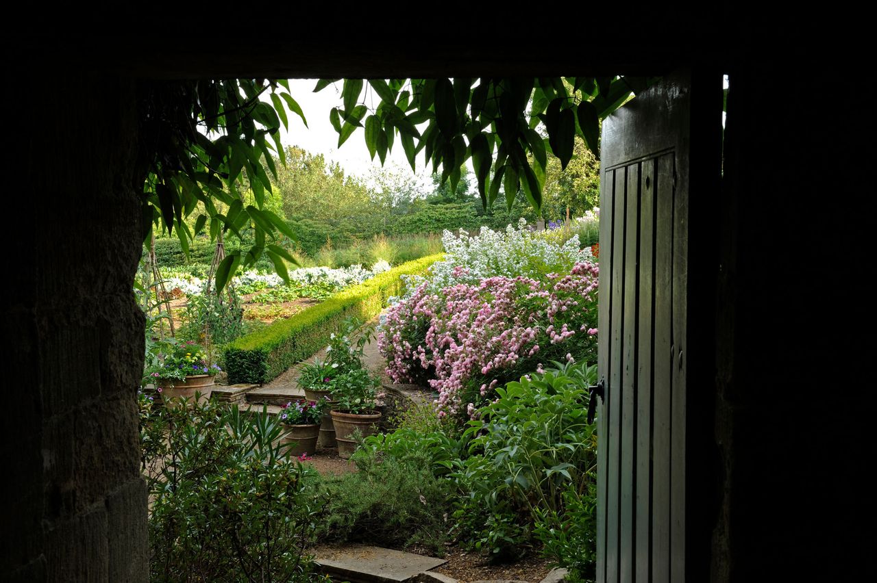 The garden at Banks Fee, Gloucestershire