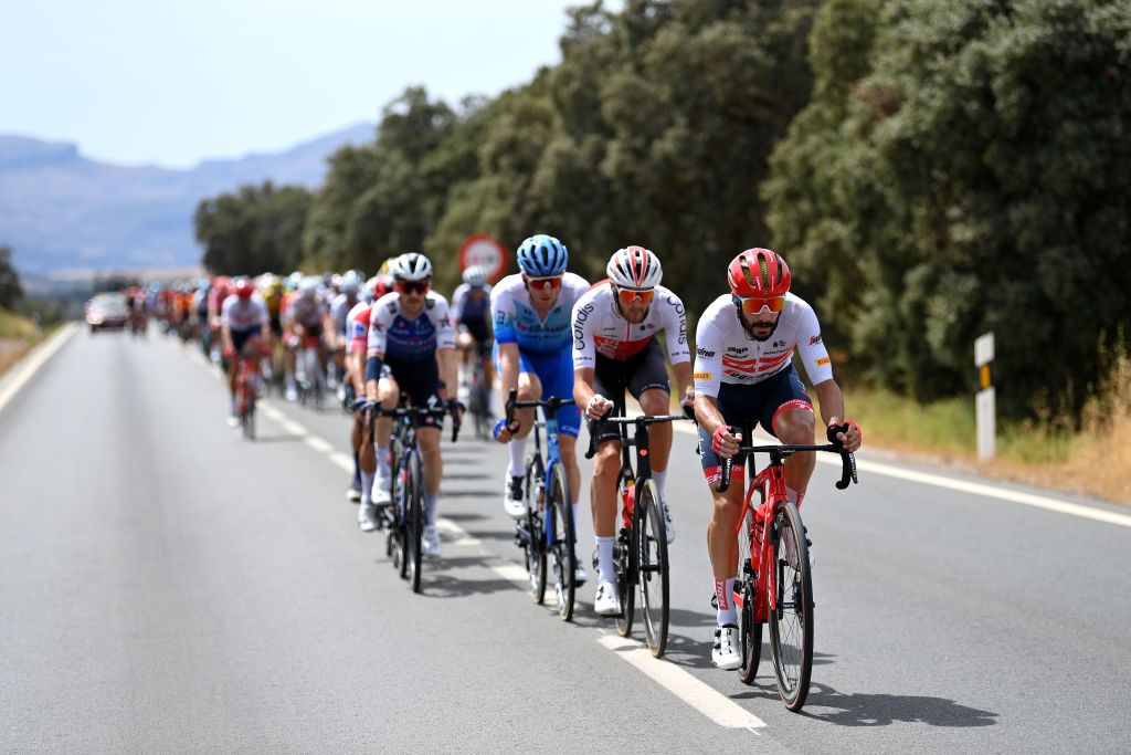 MONTILLA SPAIN SEPTEMBER 02 Julien Bernard of France and Team Trek Segafredo competes during the 77th Tour of Spain 2022 Stage 13 a 1684km stage from Ronda to Montilla 315m LaVuelta22 WorldTour on September 02 2022 in Montilla Spain Photo by Justin SetterfieldGetty Images