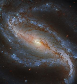 NGC 613, a barred spiral galaxy 67 million light-years away in the southern constellation of Sculptor, shows its stunning stellar markings in this image taken by the Hubble Space Telescope. The galaxy, which was first discovered in 1798, is most recognizable by its long "arms," that spiral around its nucleus clearly.