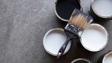 lifestyle image of paint pots and paintbrushes from rockett st george