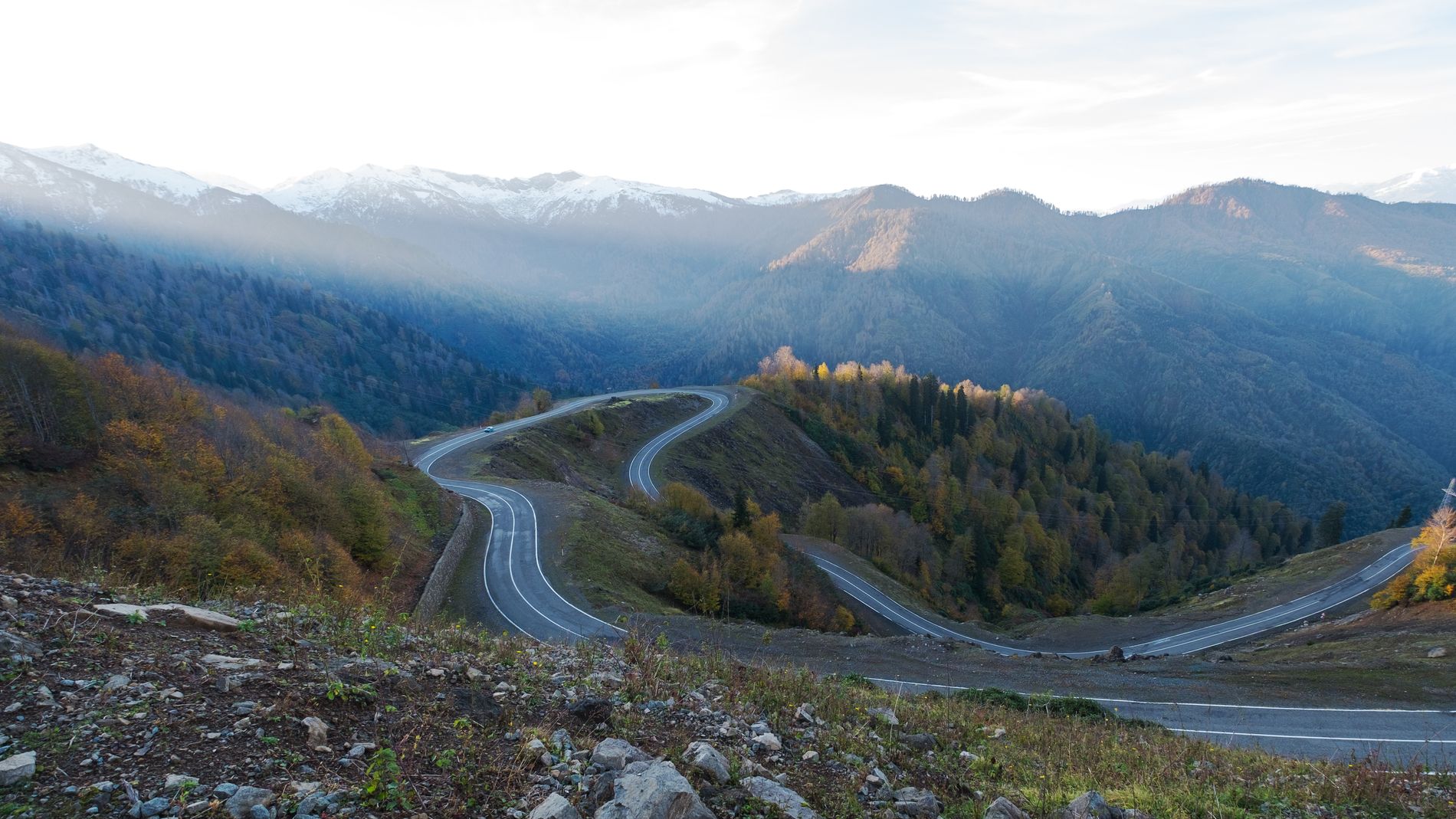 GuruShots - March 2026